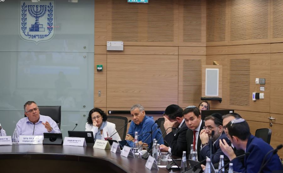 הדיון בועדת הכלכלה צילום נועם מושקוביץ דבורות הכנסת