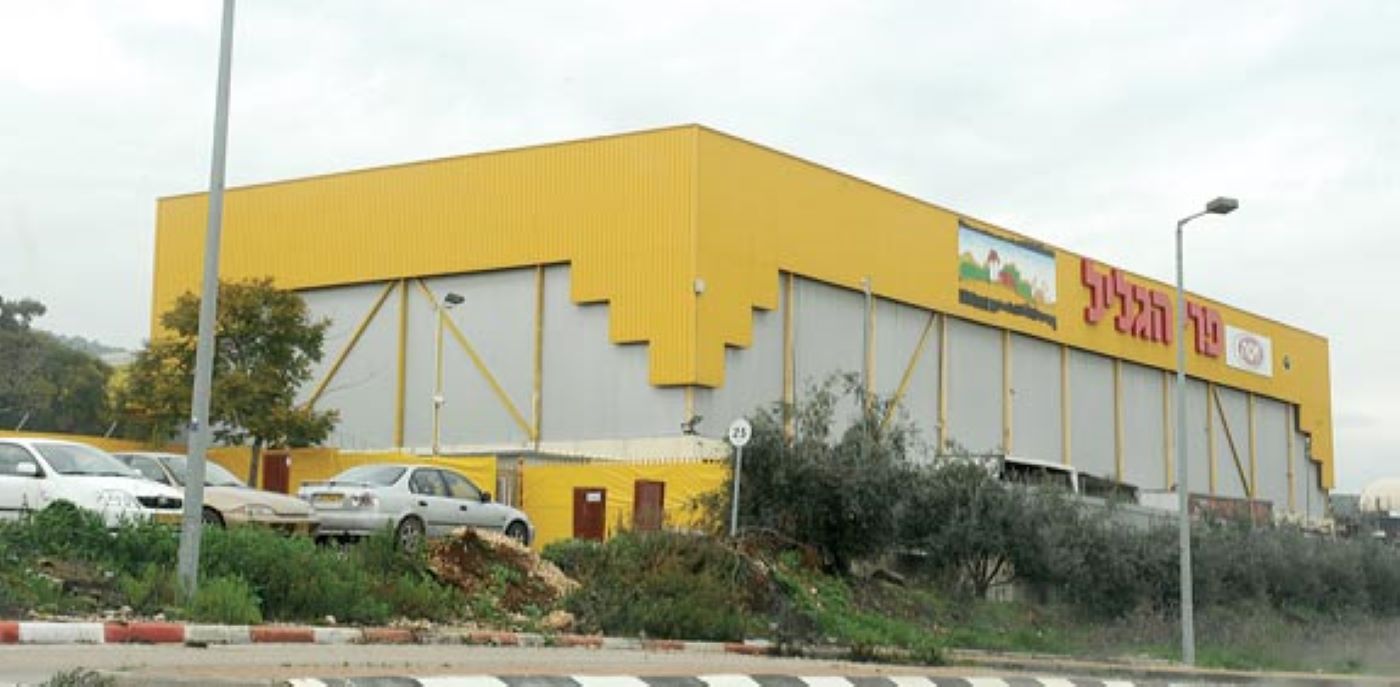 פרי הגליל צילום תמר מצפי מפעל