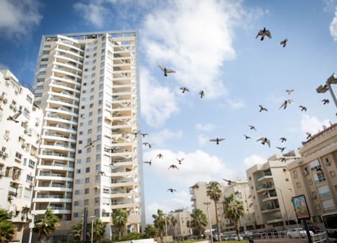 דירות להשכרה (שלומי יוסף)