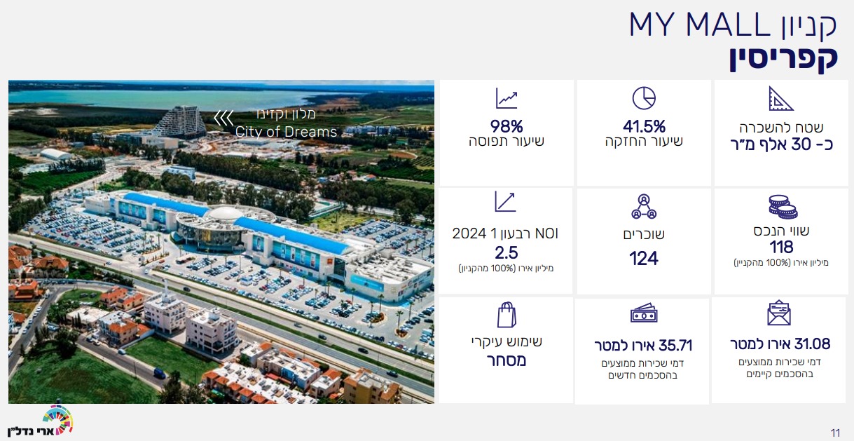 ארי נדלן מצגת (דוח ארי נדלן)