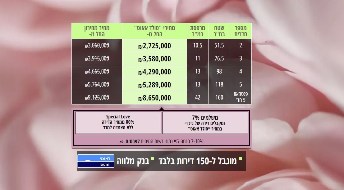 מכירות גינדי (אתר החברה)