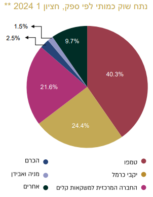 שוק הבירה בישראל בחלוקה לנתחי שוק