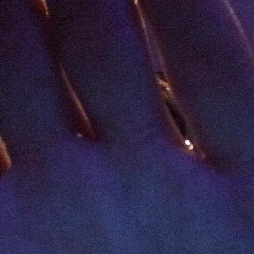 thumbnail photo