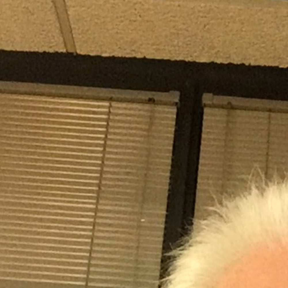 thumbnail photo
