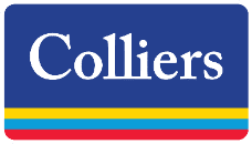 logo image