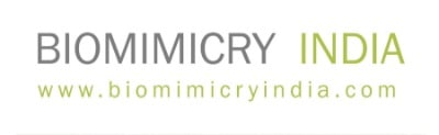 logo photo