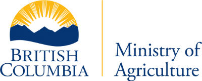 logo photo