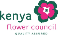 logo photo