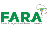 logo photo