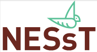 logo photo