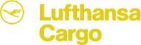 logo photo