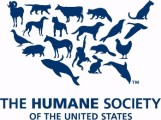 logo photo