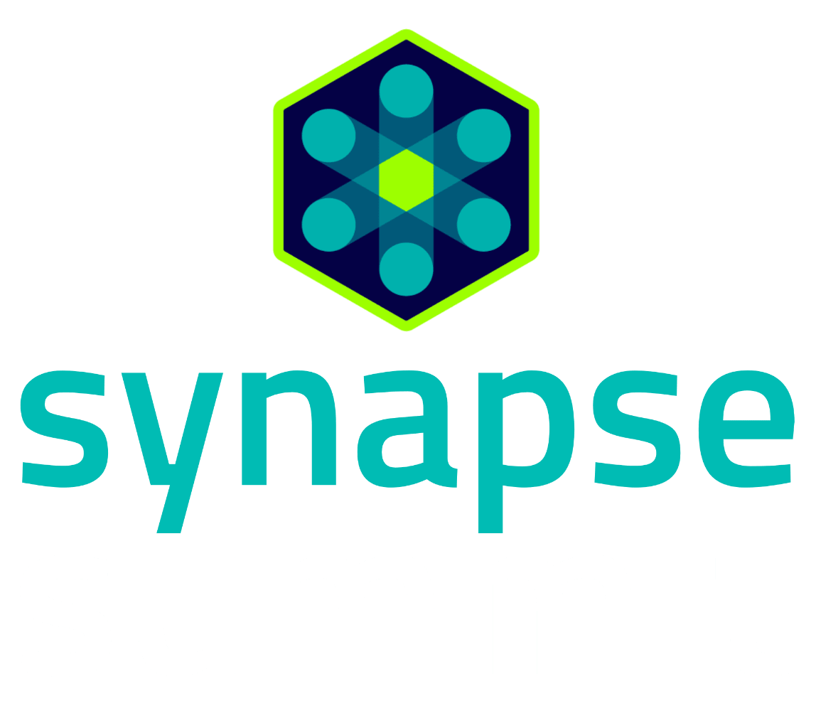 Synapse Summit 2024