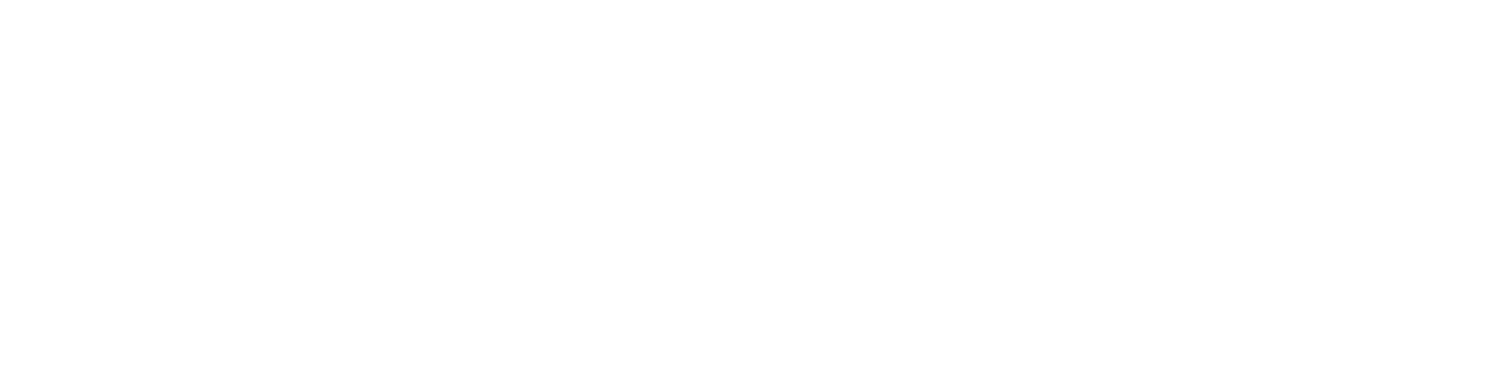 China Conference  2024 logo