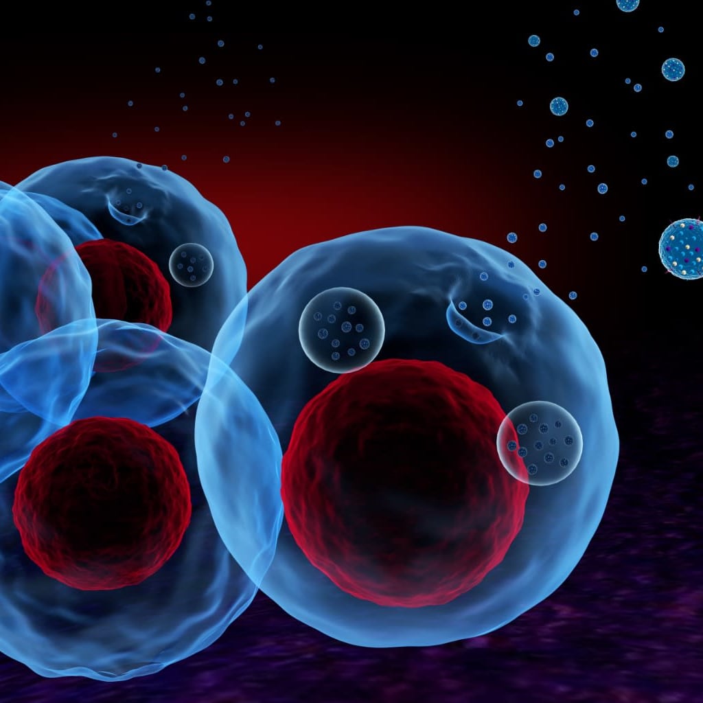 Optimizing Fluorescence for NTA  Measurements