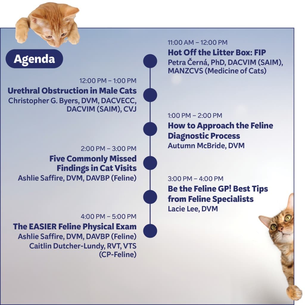 Fetch Encore Agenda