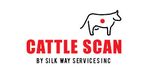 logo photo