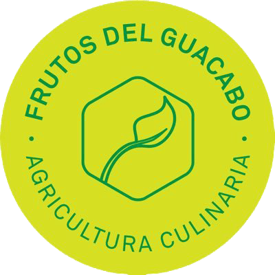 logo photo