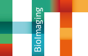 logo photo