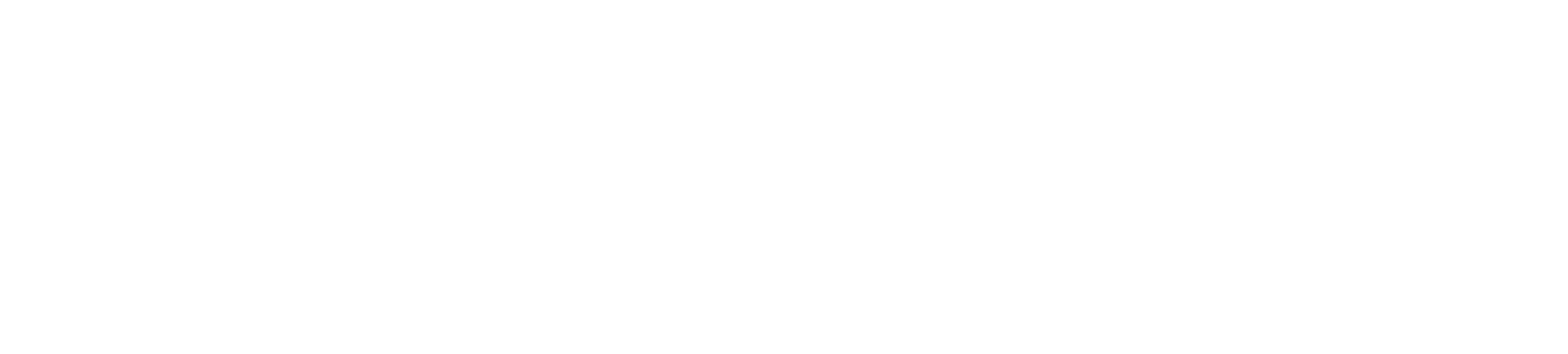 WebPros White Logo