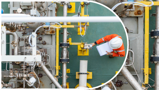 FT Workforce Adaptability in Manufacturing, Home