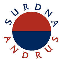 Partner logo