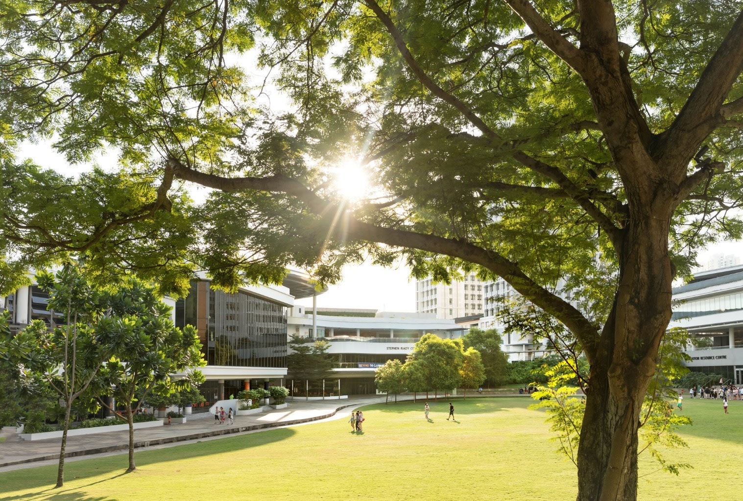 National University Of Singapore Undergraduate Application Deadline National University Of Singapore Undergraduate Application Deadline