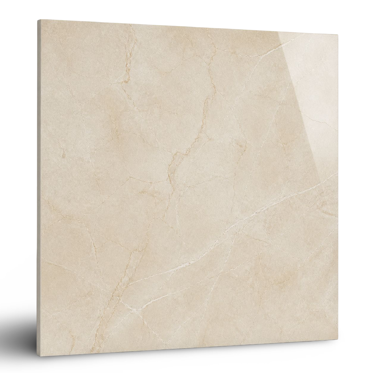 Exterior Elevation Tiles