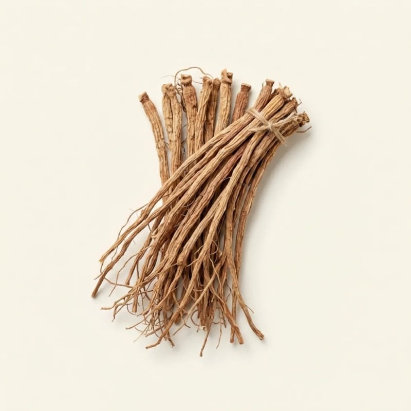Radix Achyranthes Bidentata