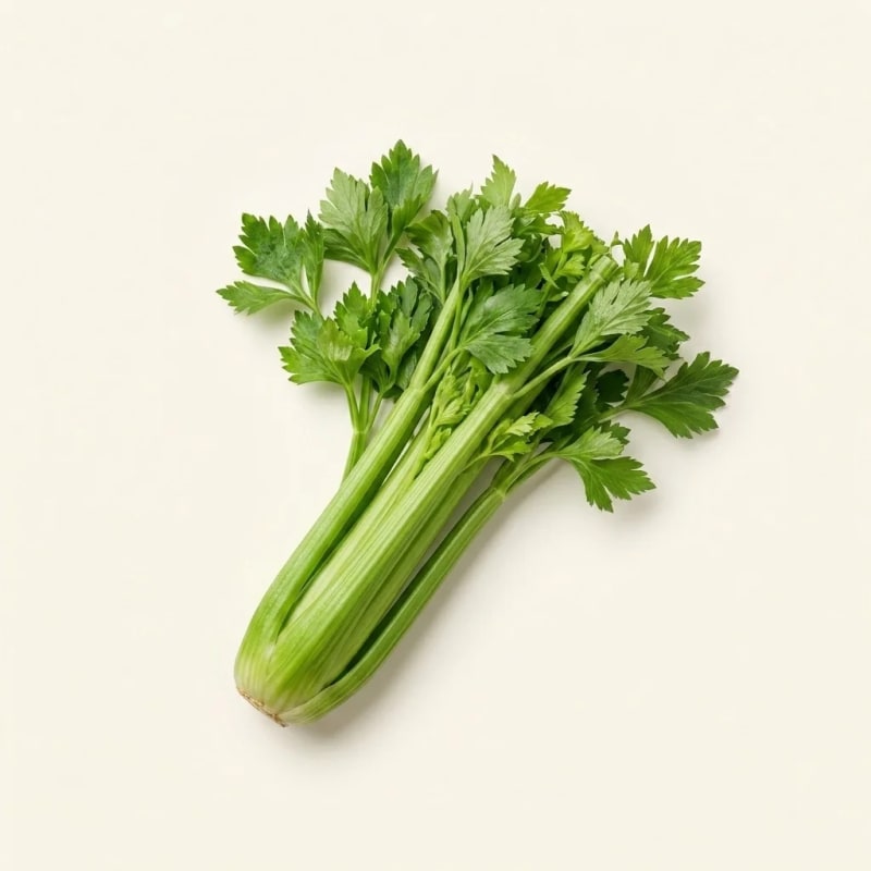 Ekstrak Daun Seledri (Apium Graveolens Linn Folium) · 1000 mg