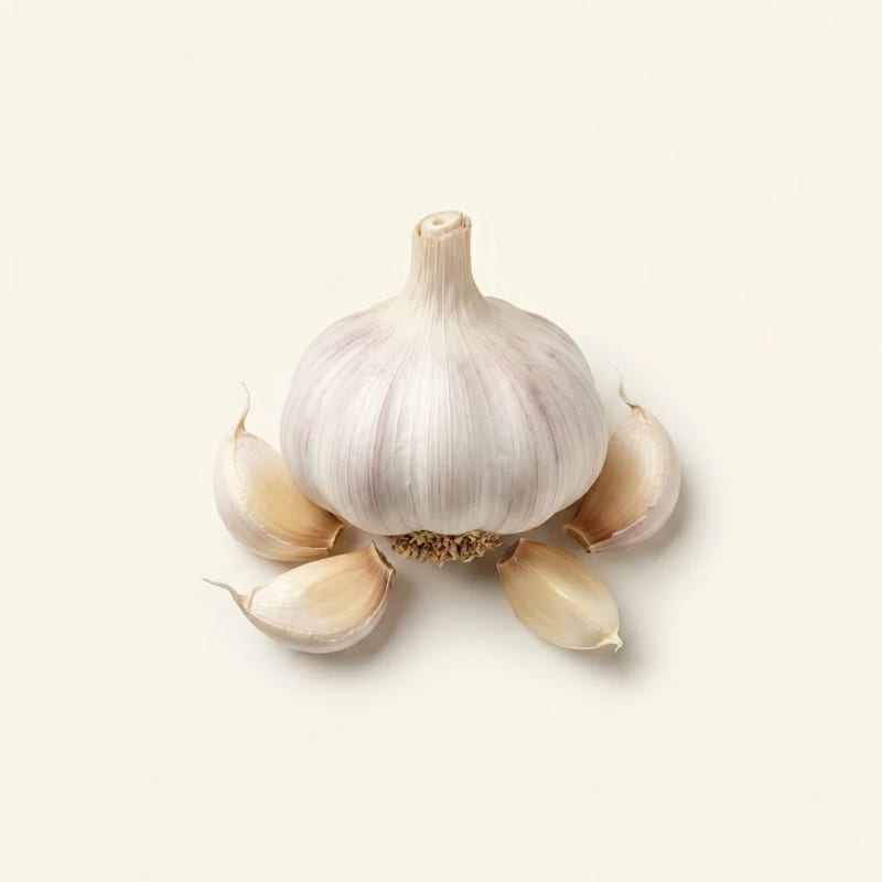 Ekstrak Umbi Bawang Putih (Garlic Bulb Extract)
