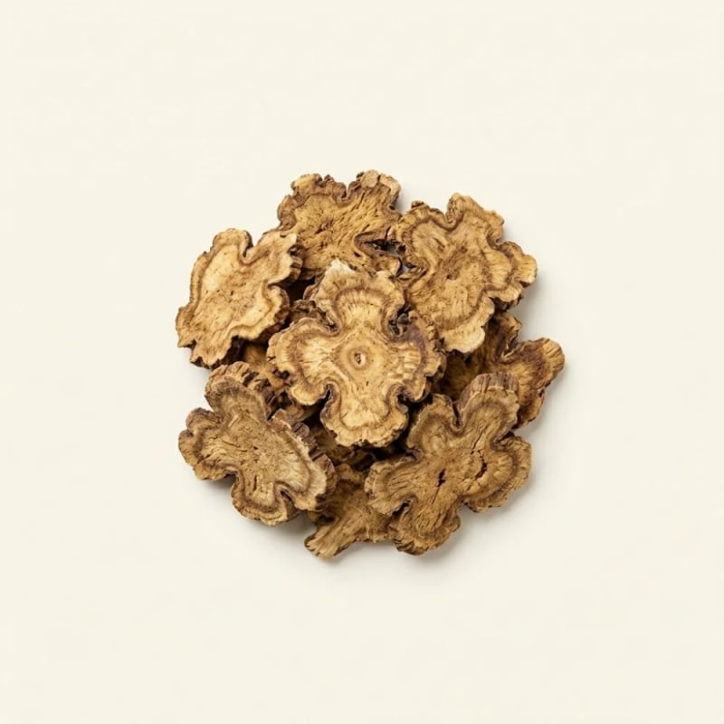Rhizoma Ligustici Chuanxiong