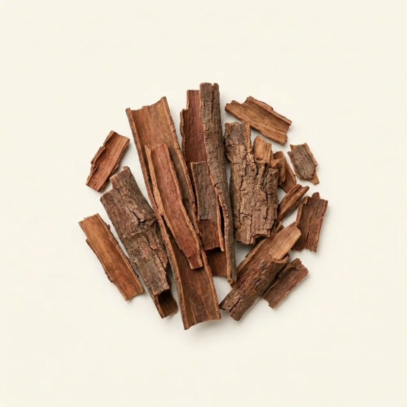 Parameriae Laevigata Cortex Extract (Kayu Rapet)