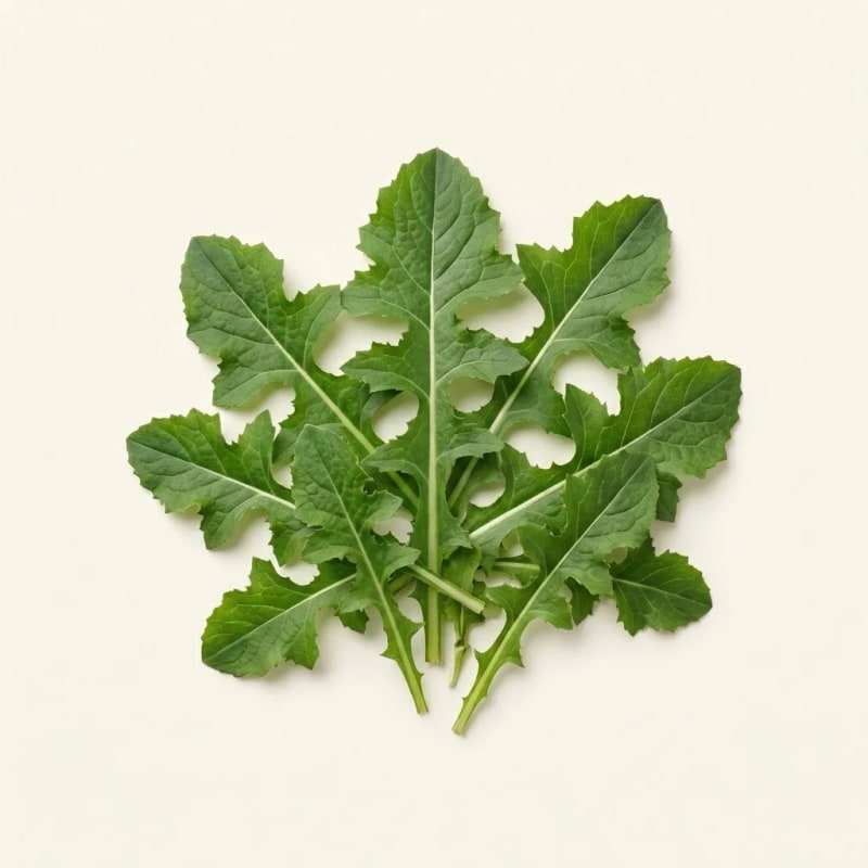 Tempuyung (Sonchus arvensis)