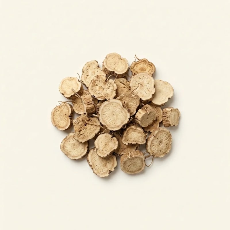 Rizom Sparganium Stoloniferum (Burreed Tuber)
