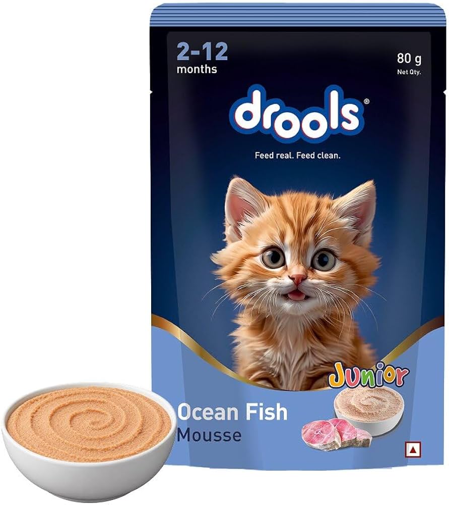 Drools Kitten ocean fish mousse wet Food 