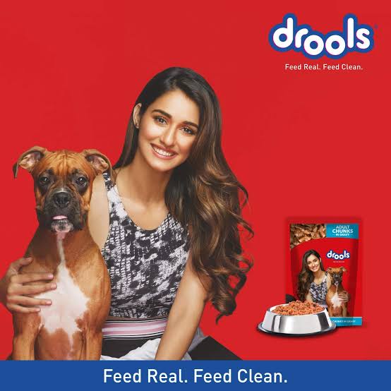 Drools 150ml Adult Gravy