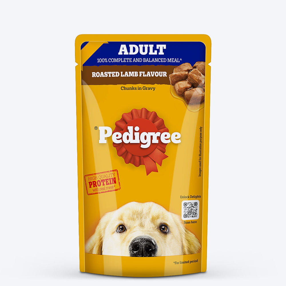 Pedigree Wet Gravy 130gm