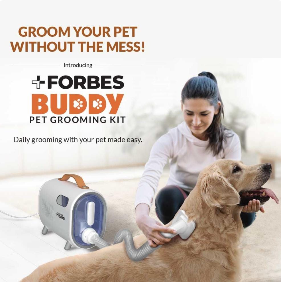 Dog Grooming 