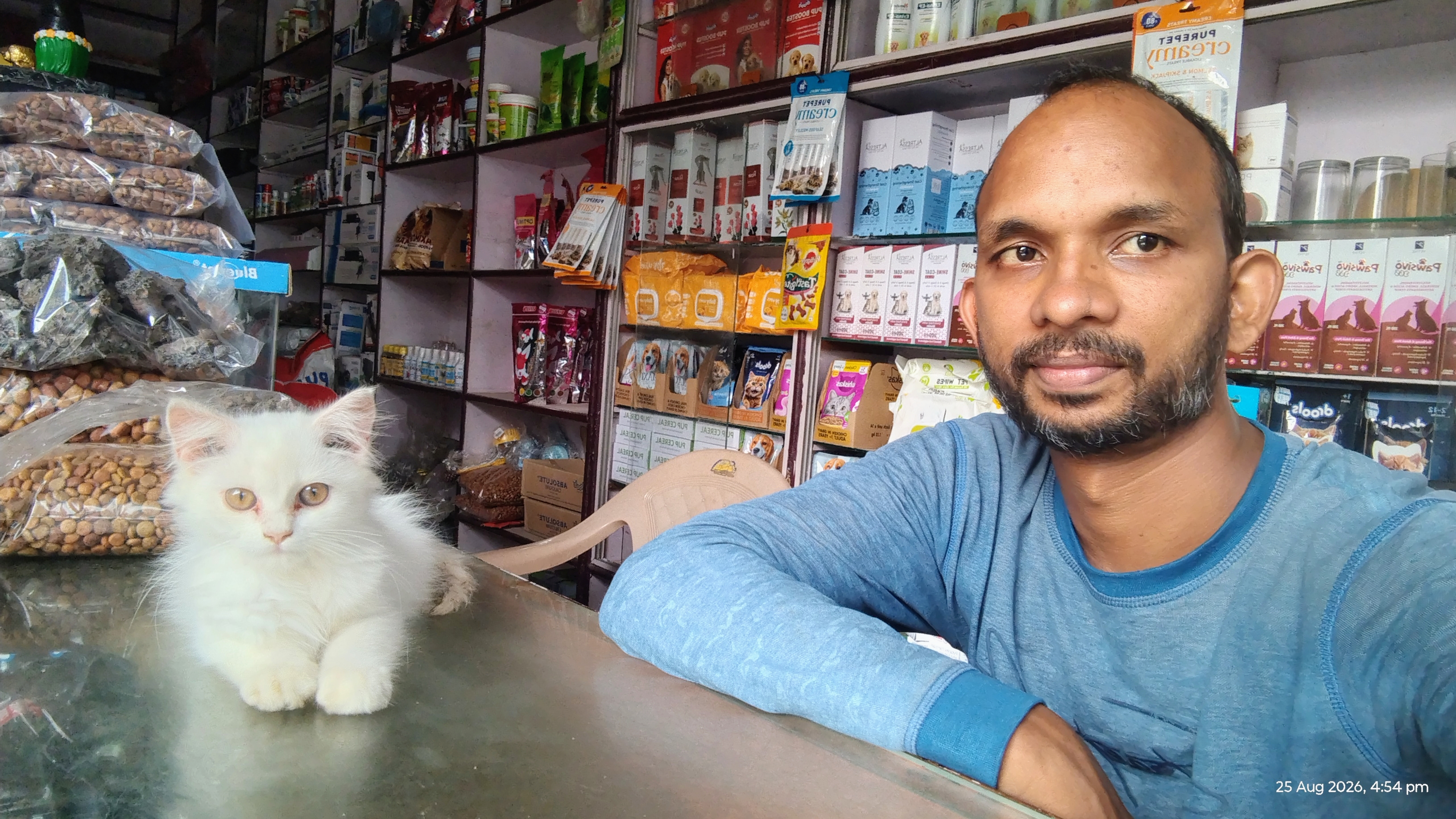 Cat Grooming Service