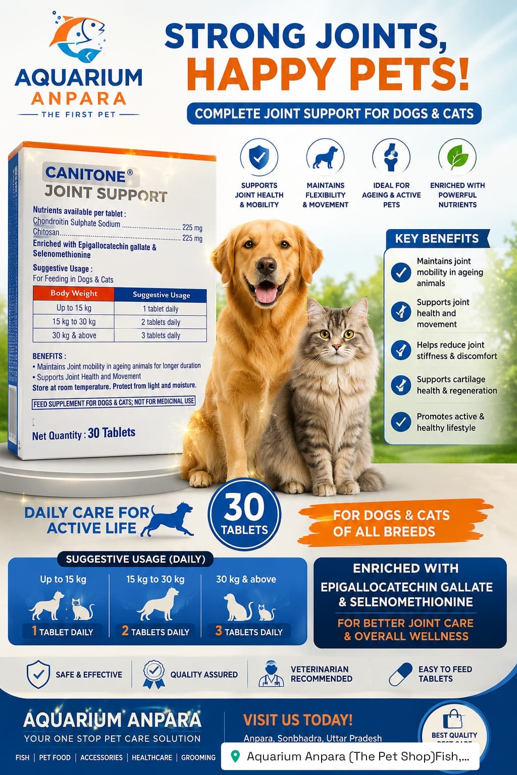 Canitone Joint Support 