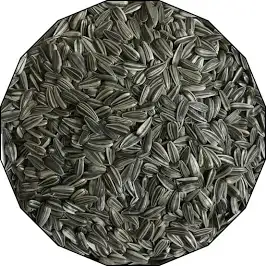 Sunflower Seeds 500gm