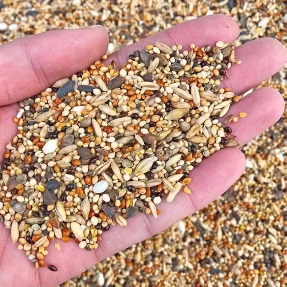 Bird Food Badgies Mix 1kg
