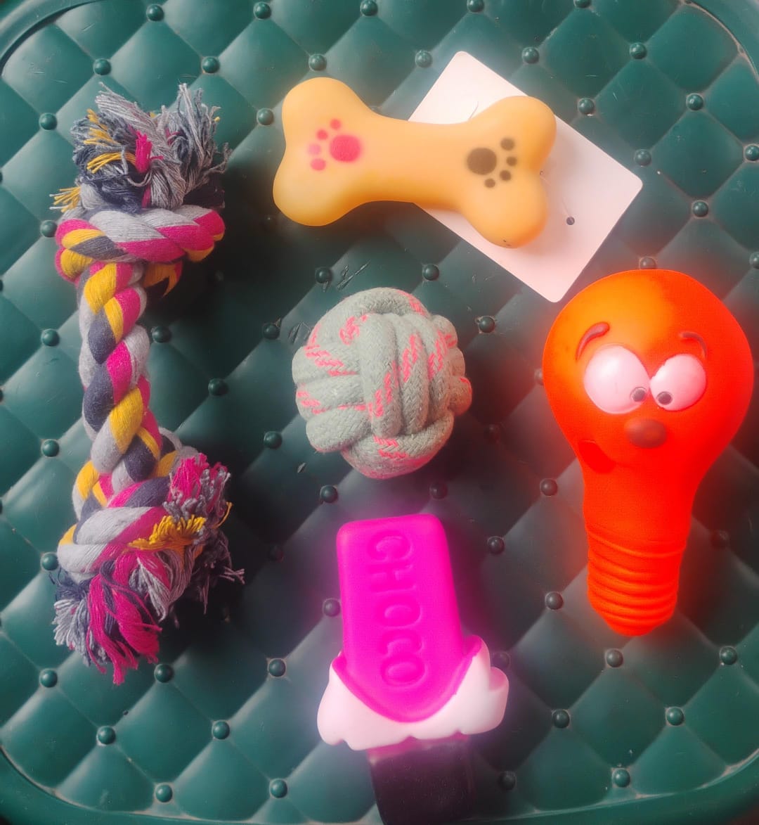 Toys for Dog and Cat 5 in 1