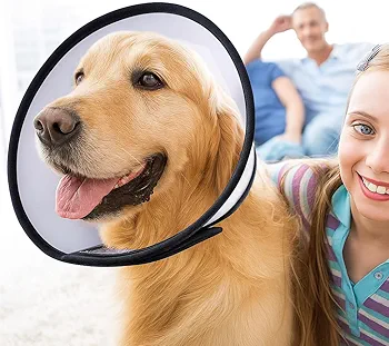 Dog E Collar Extra-Small