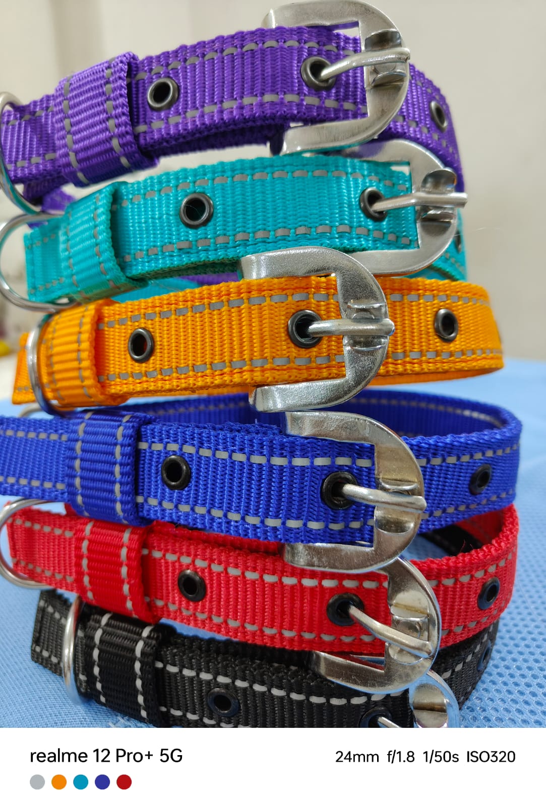 Dog Collar for puppy and semi adult