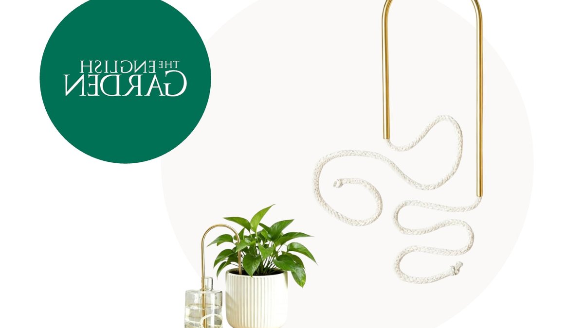 Stylish plant straws keep greenery hydrated in heat