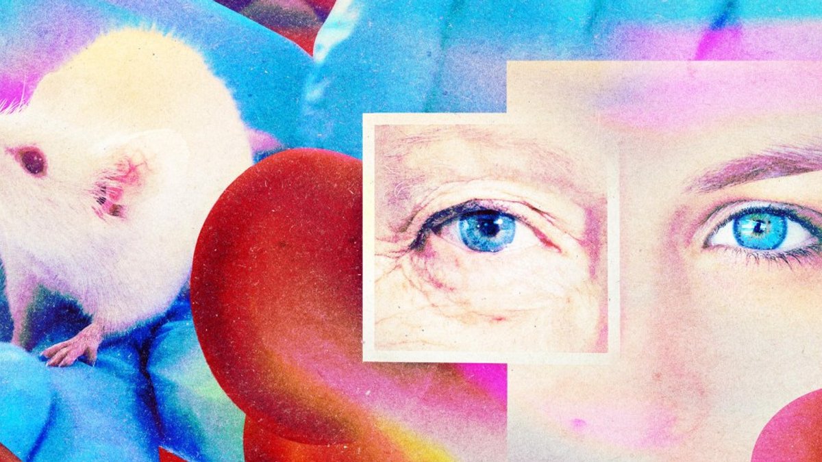 Secretive antiaging drug and virtual power plants emerge