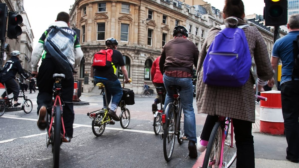 Cyclists running red lights anger motorists Cyclists running red lights anger motorists - cyclists red lights