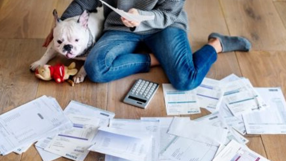 Pet Prices Diverge Across Major Economies in July - pet price trends